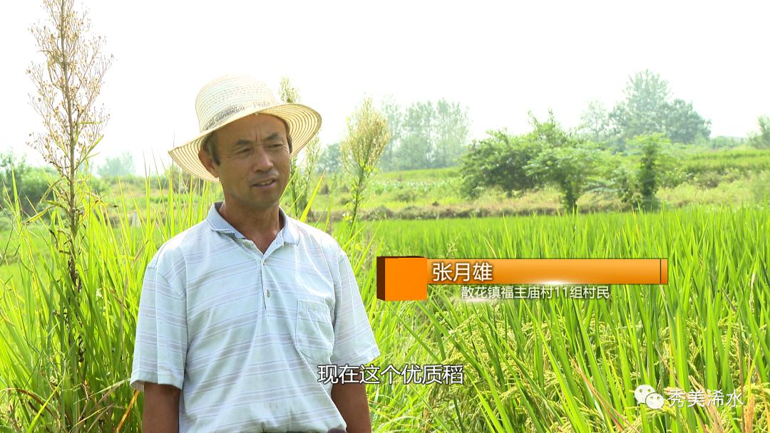 富硒大米吃了（长期食用富硒大米）-硒宝网