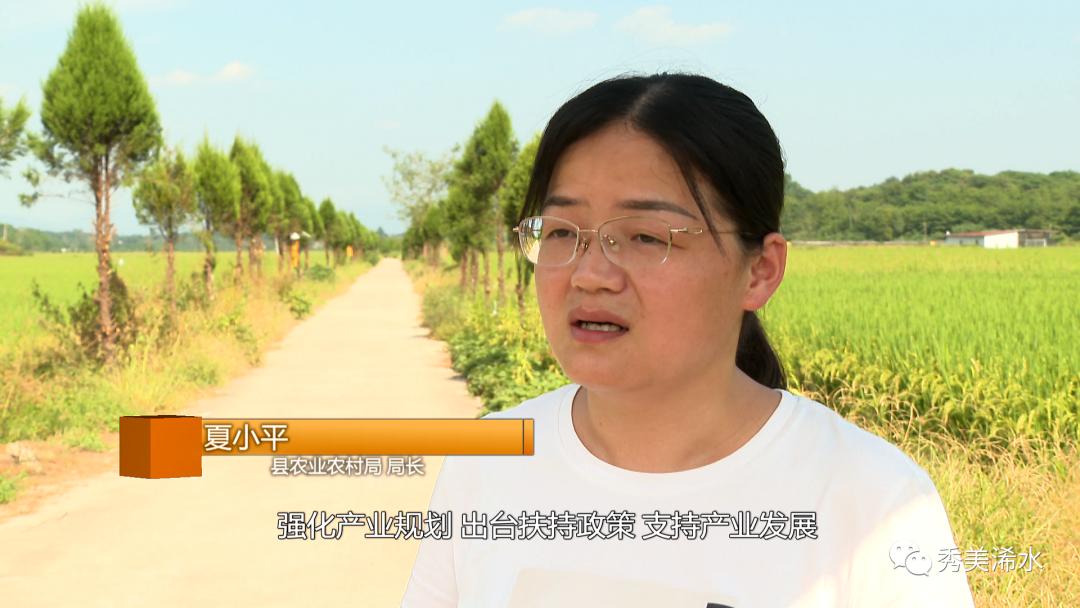 富硒大米吃了（长期食用富硒大米）-硒宝网