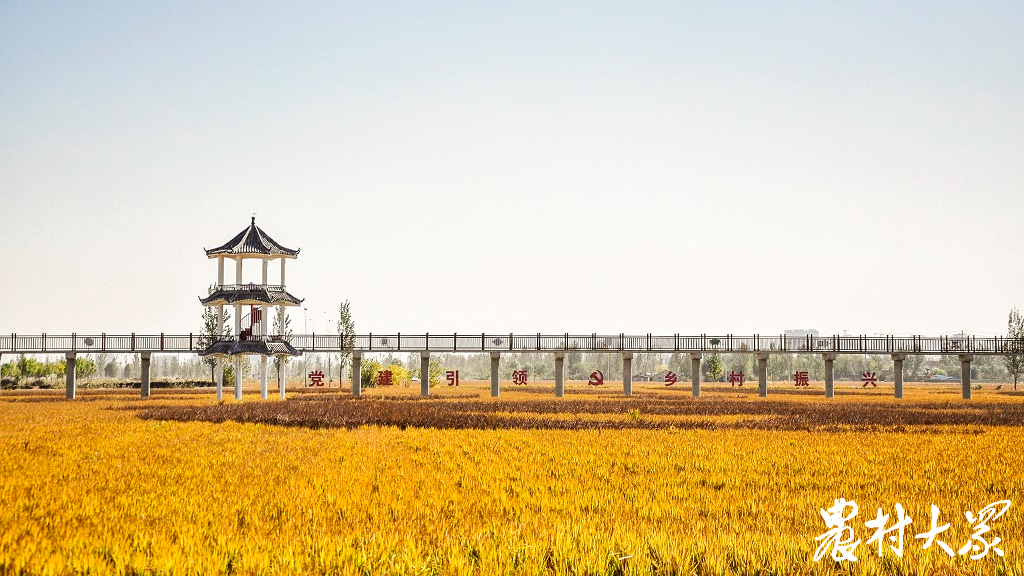 富硒大米收割（富硒大米生产技术）-硒宝网