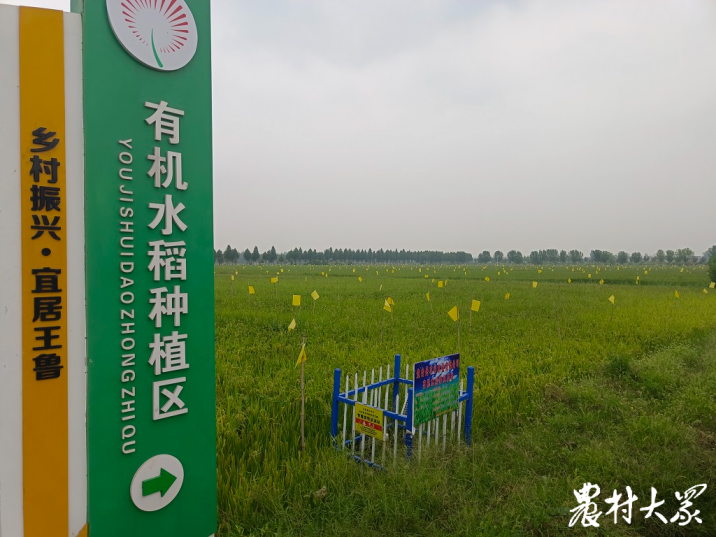 富硒大米收割（富硒大米生产技术）-硒宝网