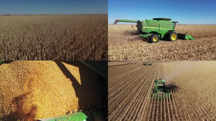 富硒大米收割（富硒大米种植成本）-硒宝网