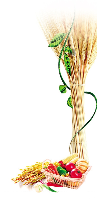 富硒大米售价(大米售价富硒多少钱)-硒宝网