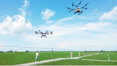 放心富硒大米(富硒大米可以防癌吗)-硒宝网