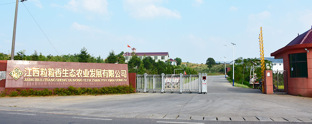 富硒大米传销（大米传销富硒是真的吗）-硒宝网