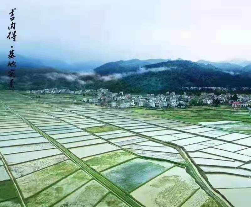 黑河富硒大米（黑龙江产的富硒大米哪里有卖）-硒宝网