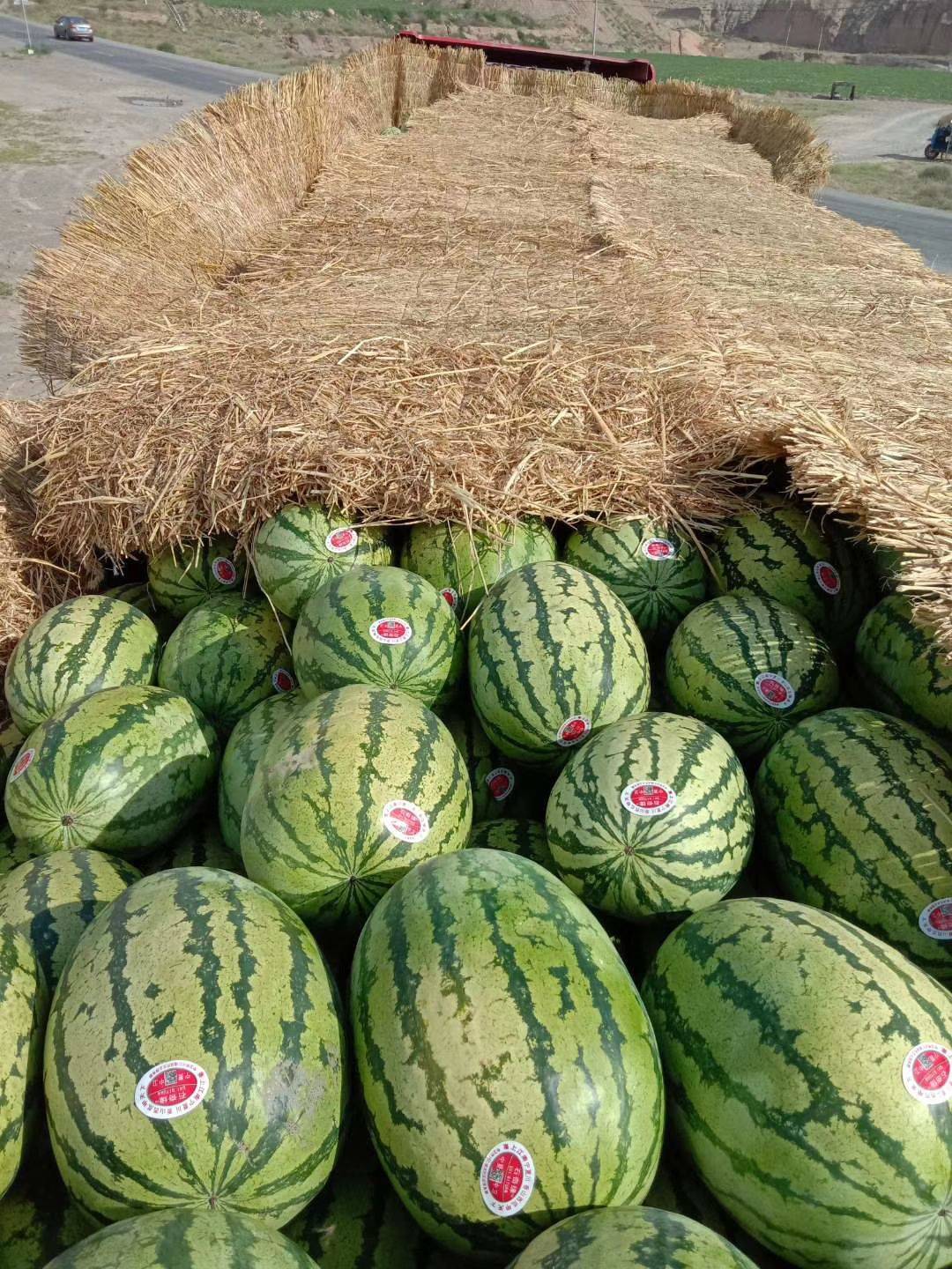 富钼富硒大米（富硒大米成分表）-硒宝网