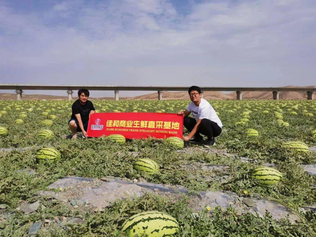 富钼富硒大米（富硒大米成分表）-硒宝网