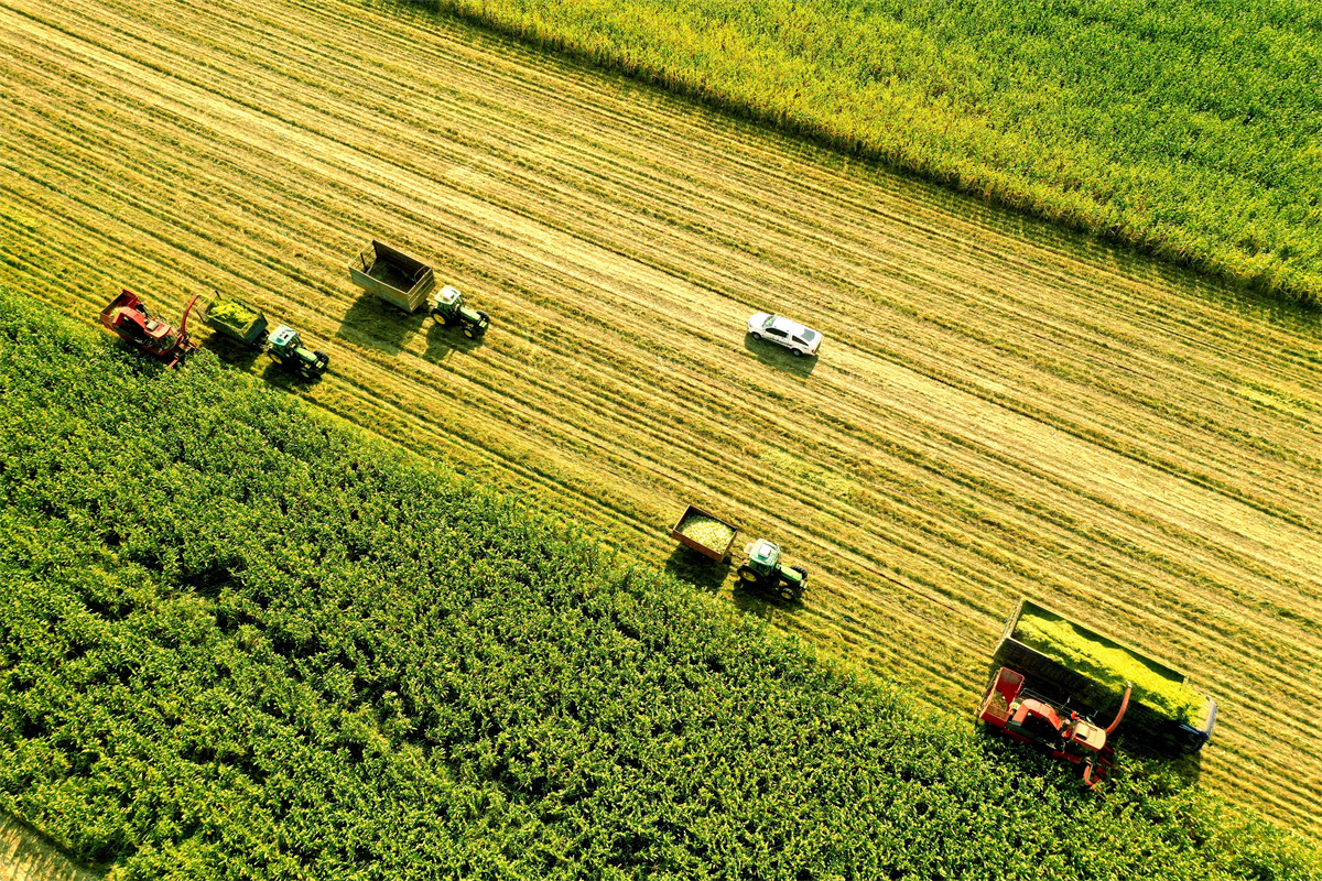 大悟富硒大米（富硒大米之乡在哪）-硒宝网