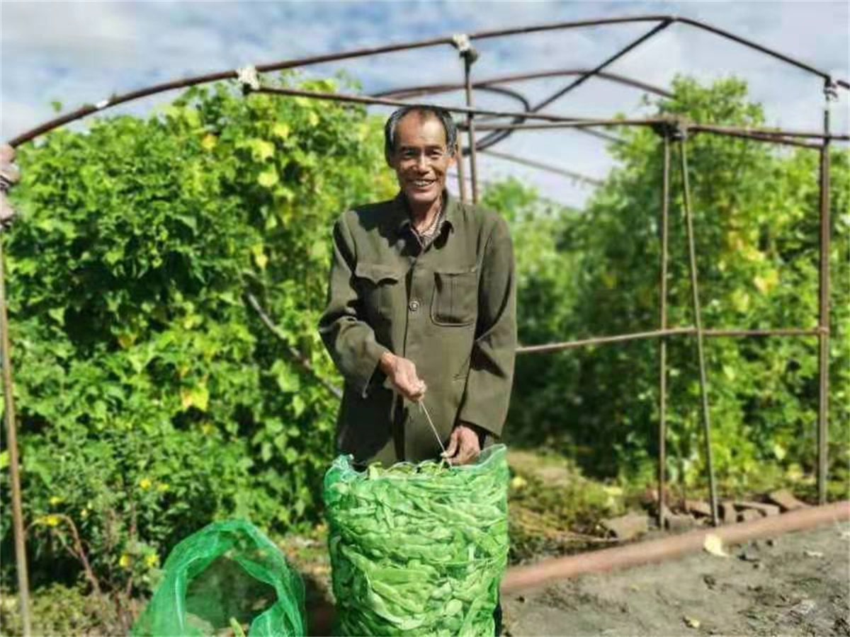 大悟富硒大米（富硒大米之乡在哪）-硒宝网