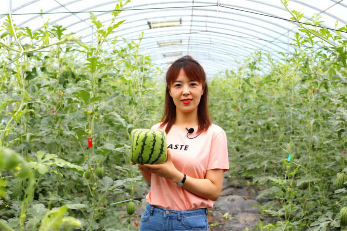 大悟富硒大米（富硒大米之乡在哪）-硒宝网