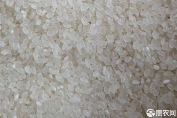 富硒大米售价（大米售价富硒含量多少）-硒宝网
