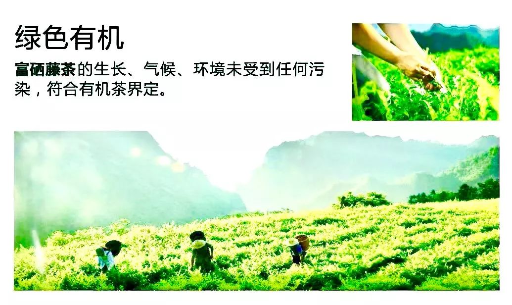 高寿富硒大米（富硒的大米）-硒宝网