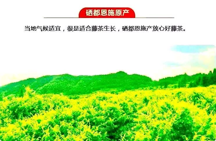 高寿富硒大米（富硒的大米）-硒宝网