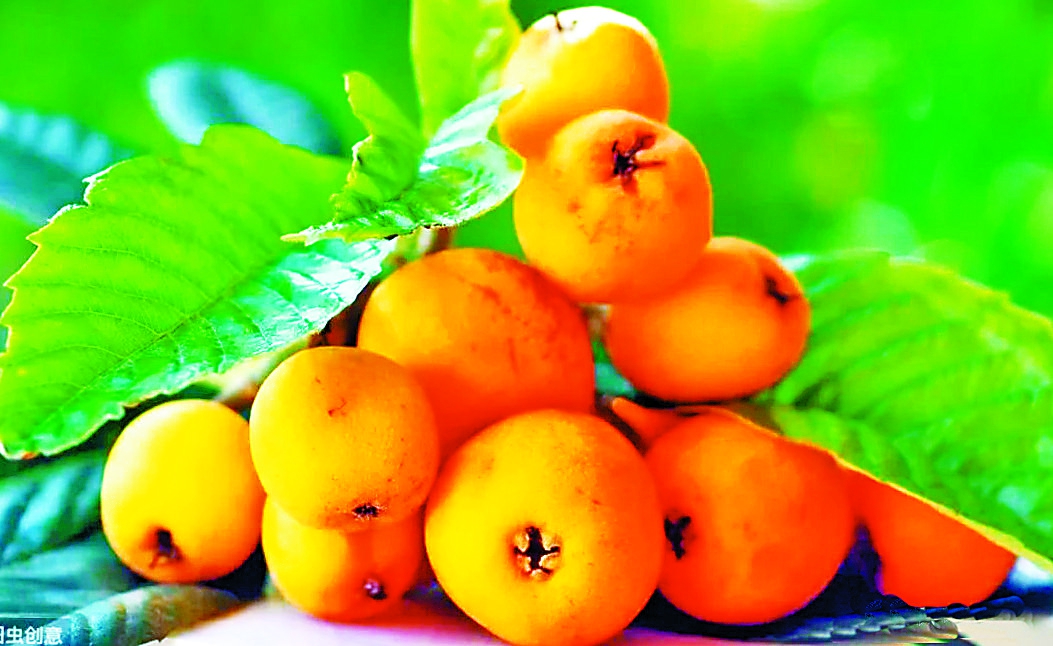 富硒黄金大米（大米黄金富硒含量）-硒宝网