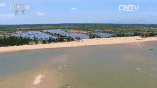 湛江富硒大米（富硒优质大米）-硒宝网