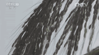 湛江富硒大米（富硒优质大米）-硒宝网