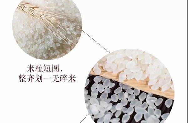 富硒大米测评（富硒大米好在哪）-硒宝网