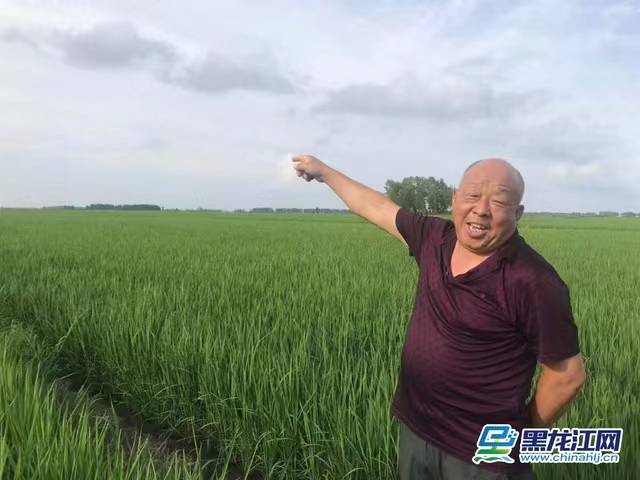 赞美富硒大米(富硒大米文案)-硒宝网