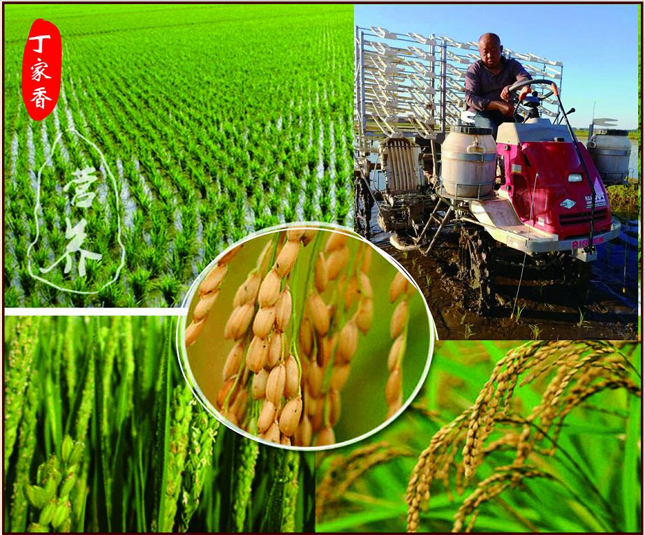 赞美富硒大米(富硒大米文案)-硒宝网