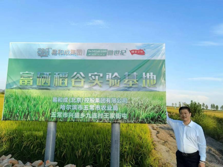 富硒大米有机(大米机富硒有什么作用)-硒宝网