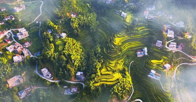 富硒大米萍乡（赣南富硒大米）-硒宝网