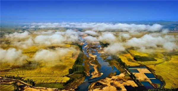 图们富硒大米（富硒的大米）-硒宝网