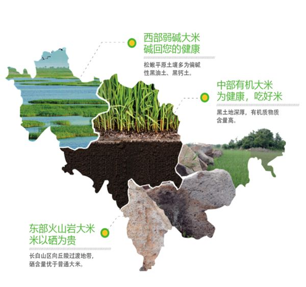 图们富硒大米（富硒的大米）-硒宝网