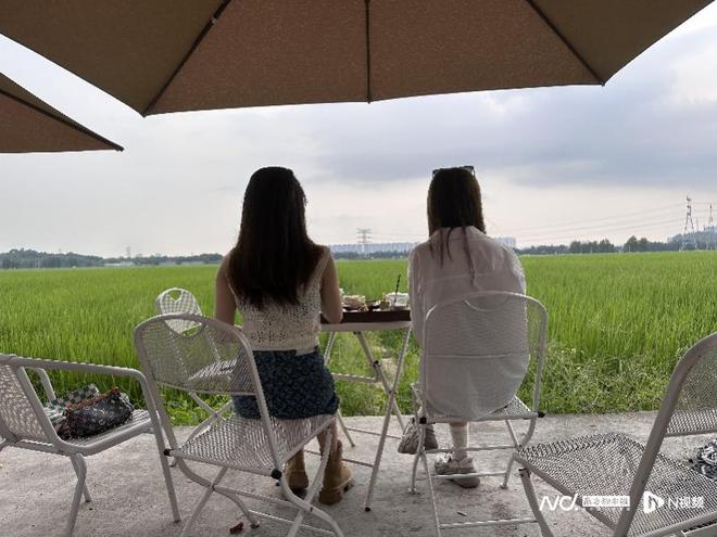 承德富硒大米（富硒大米哪里有卖）-硒宝网