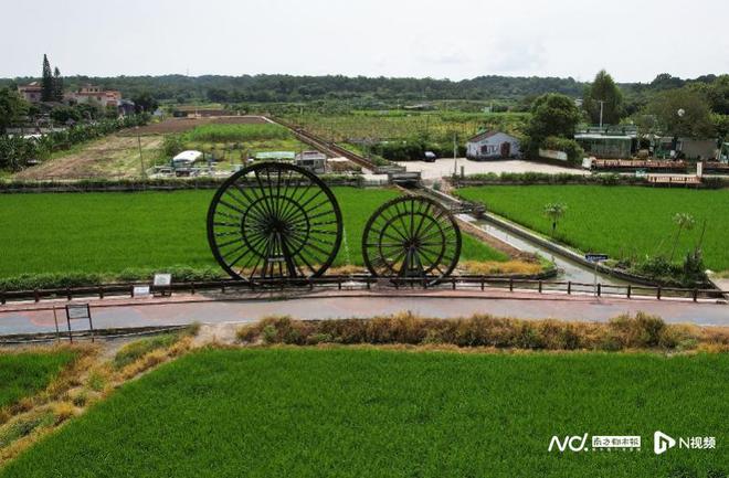 承德富硒大米（富硒大米哪里有卖）-硒宝网