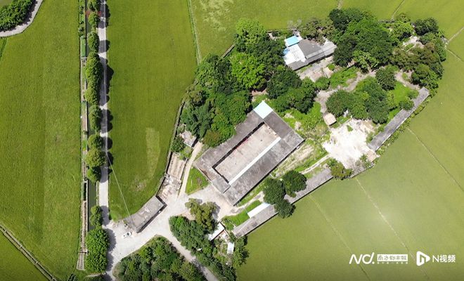 承德富硒大米（富硒大米哪里有卖）-硒宝网