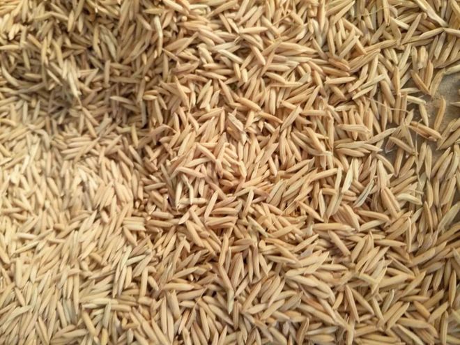 富硒大米皮蛋(皮蛋大米粥对人体有益)-硒宝网