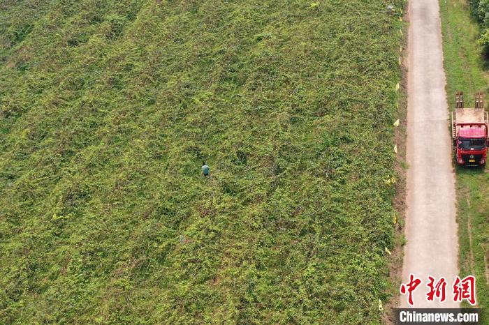 富硒大米描述（大米描述富硒的句子）-硒宝网