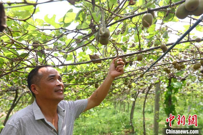 富硒大米描述（大米描述富硒的句子）-硒宝网