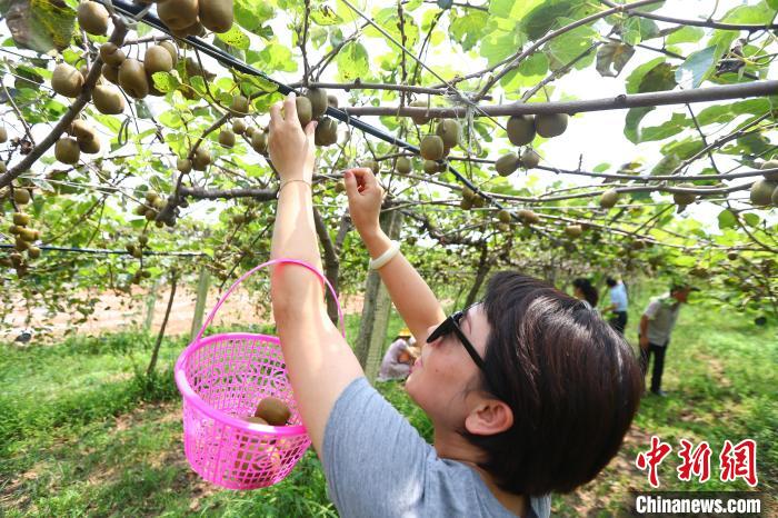 富硒大米描述（大米描述富硒的句子）-硒宝网
