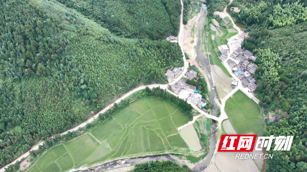 富硒大米乱象（富硒大米有味道）-硒宝网