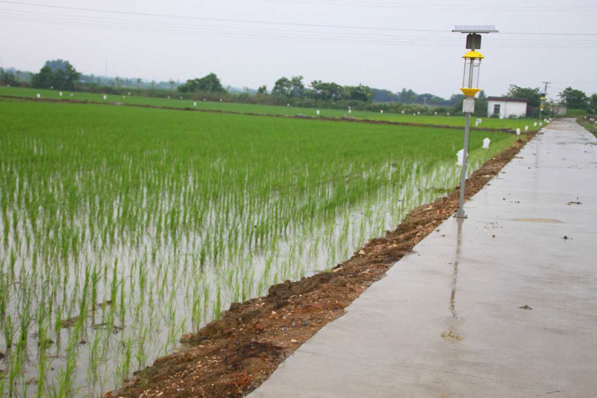 仪征富硒大米(富硒优质大米)-硒宝网