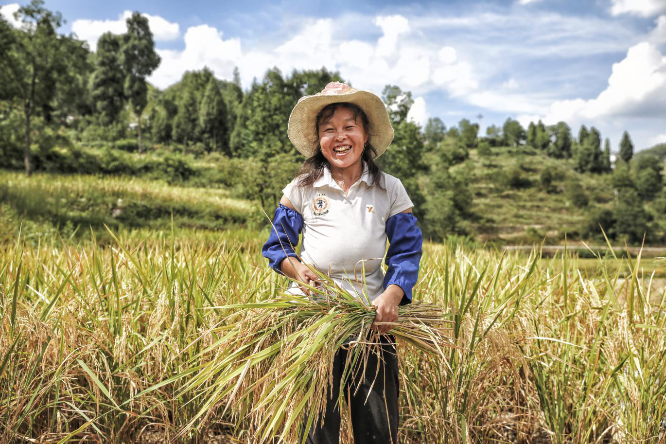 仪征富硒大米(富硒优质大米)-硒宝网
