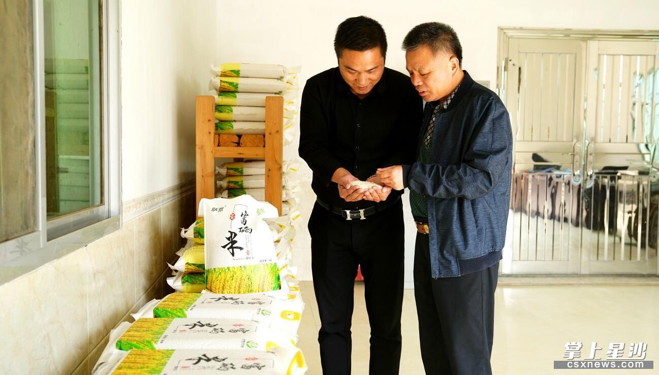 富硒水果大米（富硒大米中含有的主要营养素是）-硒宝网