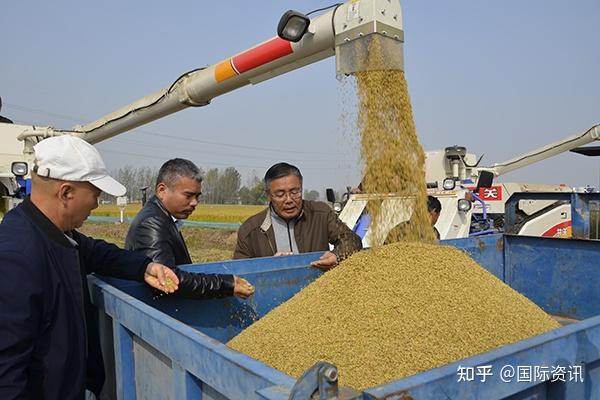 富硒大米米价(大米米价富硒含量多少)-硒宝网