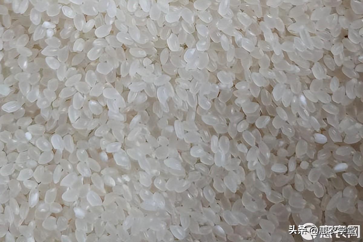 富硒大米米价（富硒大米含量最高的有多少）-硒宝网