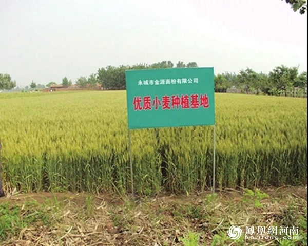 夏邑富硒大米(富硒大米好在哪)-硒宝网