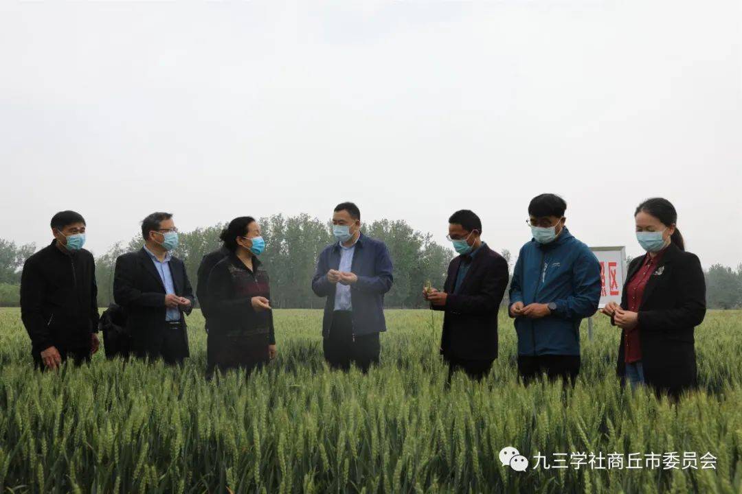 夏邑富硒大米(富硒大米好在哪)-硒宝网