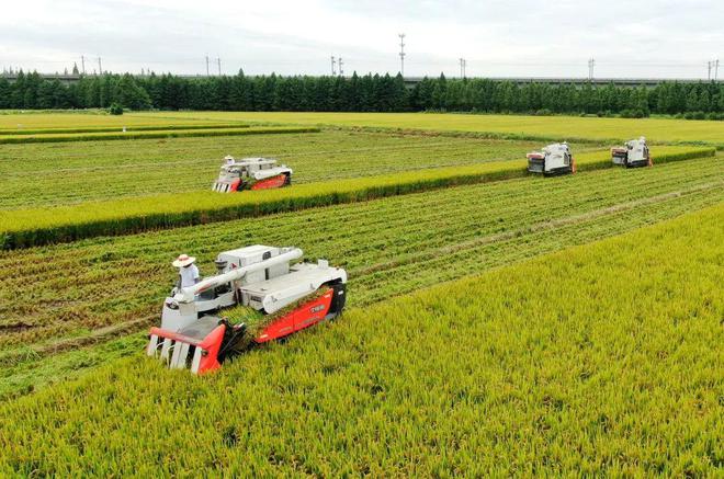 芜湖富硒大米（安微富硒大米）-硒宝网