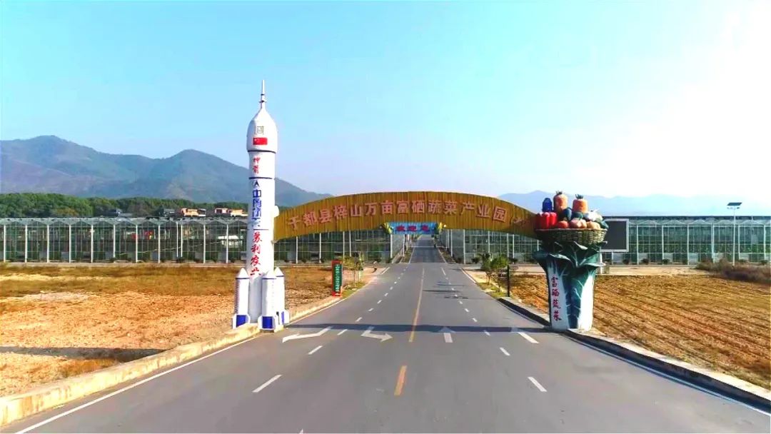 富硒大米口号（富硒大米广告语）-硒宝网