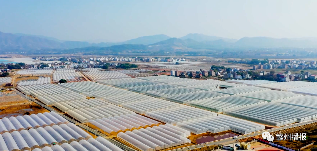 富硒大米口号（富硒大米广告语）-硒宝网