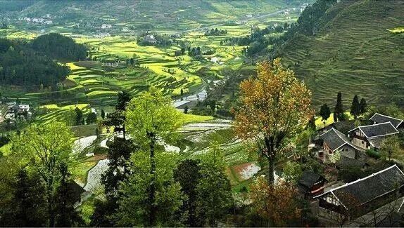 贵阳富硒大米(富硒大米哪里有卖)-硒宝网