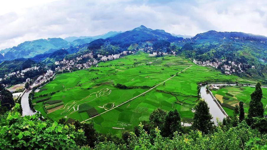 贵阳富硒大米(富硒大米哪里有卖)-硒宝网