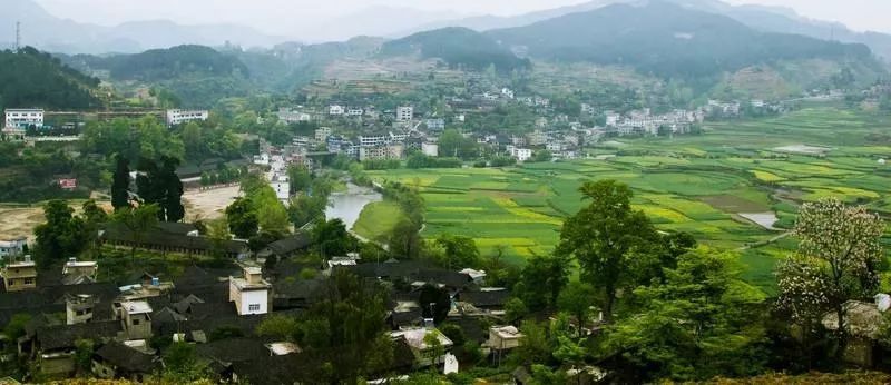 贵阳富硒大米(富硒大米哪里有卖)-硒宝网