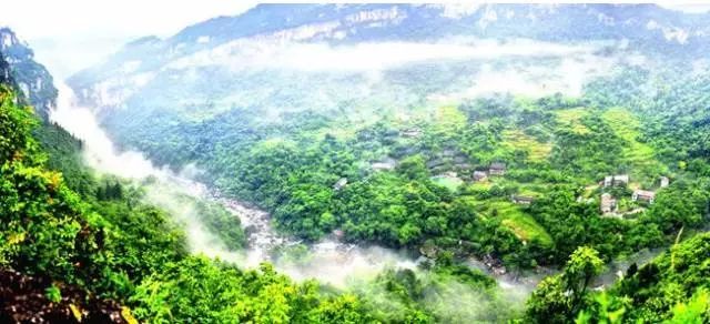 贵阳富硒大米(富硒大米哪里有卖)-硒宝网