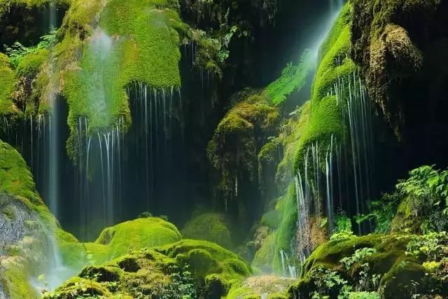 贵阳富硒大米(富硒大米哪里有卖)-硒宝网